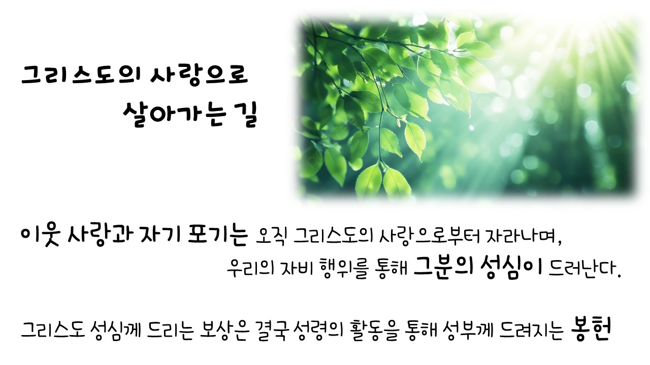 슬라이드1.JPG