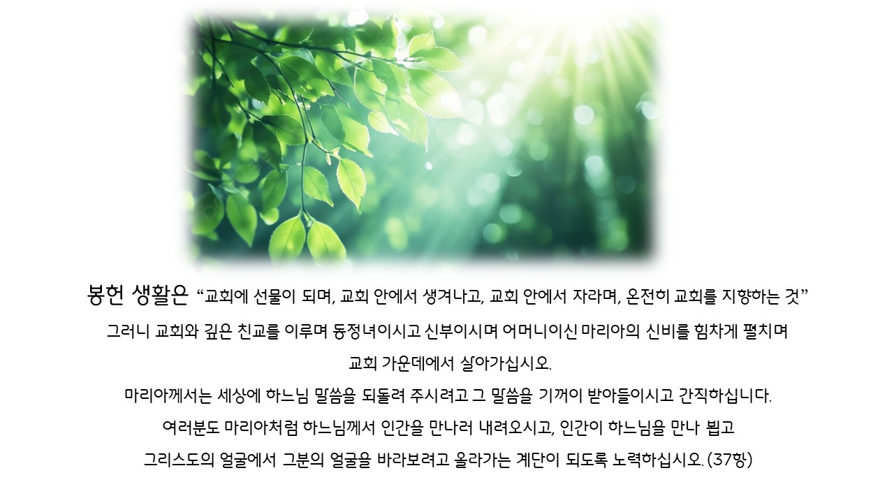 하느님얼굴찾기 34-끝.jpg