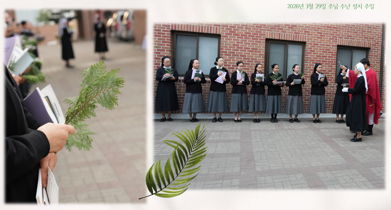 bandicam 2026-03-29 20-23-27-586.jpg