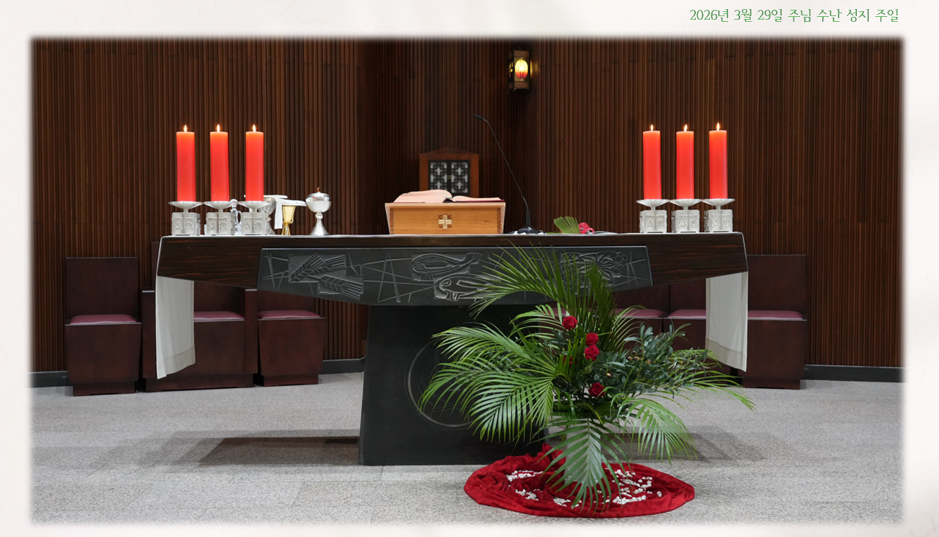 bandicam 2026-03-29 20-24-02-552.jpg